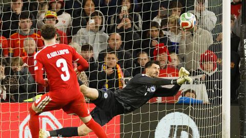 Metsa klubikaaslane tõrjus Bosnia ühe võidu kaugusele MMist