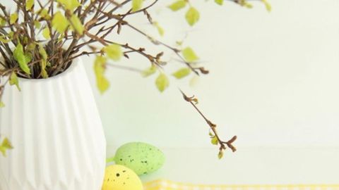 Kevadpühad tulevad! Viis isuäratavat kohupiimakooki