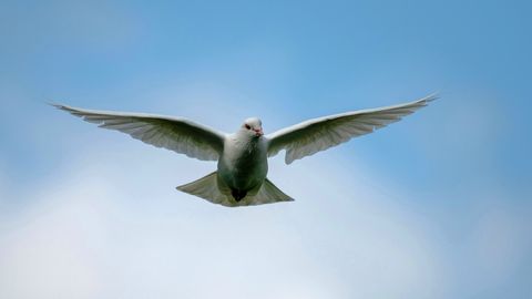 KOSMILINE PEEGELDUS ⟩ Millal on oodata maailma rahu?