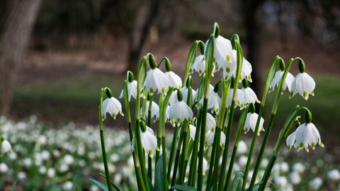 NÄDALAHOROSKOOP ⟩ Kalad võivad sattuda kriitikalaine alla, Skorpioni süda tahab ajutiselt sulguda