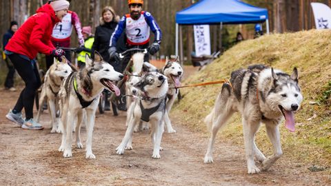 GALERII ⟩ Eksimine ja trahv: põhjamaised lemmikud võtsid mõõtu Jõulumäel
