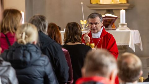 FOTOD ⟩ Peeter-Pauli katedraalis peeti palmipuudepüha missat