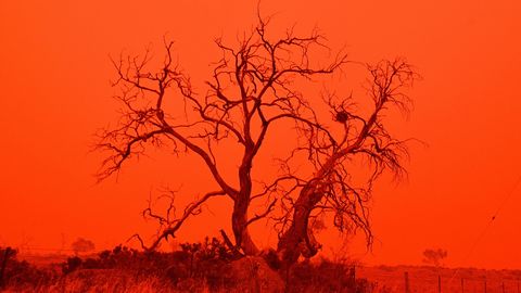 NAGU ULMEFILMIST ⟩ Austraalia taevas muutus erakordselt veripunaseks – põhjuseks üllatav nähtus