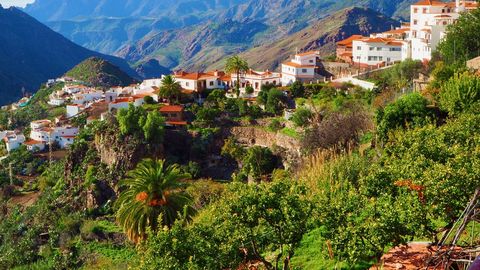 VARJATUD PÄRL ⟩ Kanaari saarte sihtkoht, kus asub Euroopa ainus kohviistandus – ja kus saad ka rahvamassidest pääseda