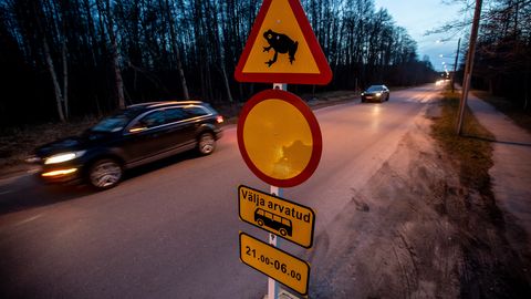 Tallinn kehtestab Astangul konnarände ajaks liikluspiirangud