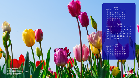 Aprilli kalender 2026