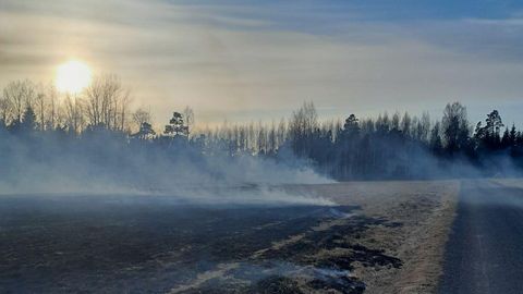 Kulu põletamisest süttisid metsaalune ja õunapuu
