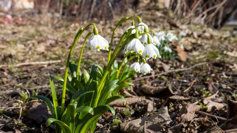 Lähipäevil kerkivad õhusooja maksimumid 14 kraadini