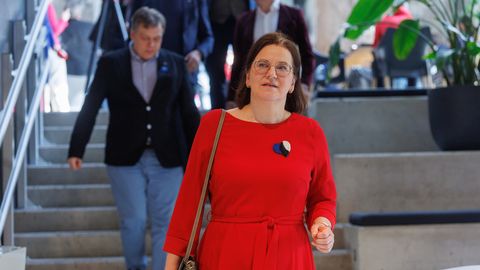 Liisa Pakosta ERRile: RAB tuleks taasliita politseiga