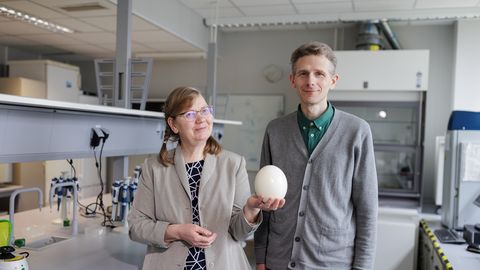 KOMMENTAAR ⟩ Kas vabapidamisel kanade munad maitsevad paremini?