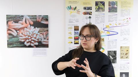 Ukraina teadlane tõi vaatajate ette imeliste elukate limakute vormilise rikkuse