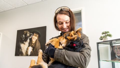 FOTOD ⟩ Tee äärest päästetud pime kutsikas läks uude koju, kuid endine omanik soovib looma tagasi