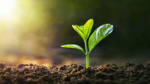 PÄEVAHOROSKOOP ⟩ 3. aprill: Jäära intuitsioon on terav, Skorpionil on soodne aeg silmaringi laiendamiseks