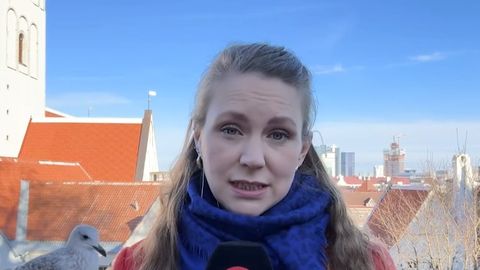 VIDEO ⟩ Kajakas varastas Tallinnas soome reporterilt otse-eetris päikeseprillid