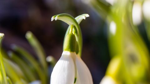 Vaiksel laupäeval sajab lörtsi