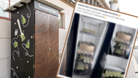 KIIREIM SAAB SÖÖNUKS ⟩ Öine salatiralli Tartus. Pilgeni täidetud toidukapp tühjenes tunniga ja tekitas tulise arutelu