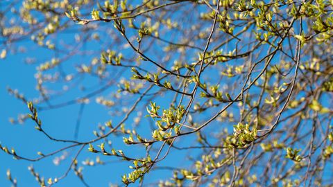 APRILLI HOROSKOOP ⟩ Kuu tuleb tuline ja pulbitsev: ees võib olla mässu