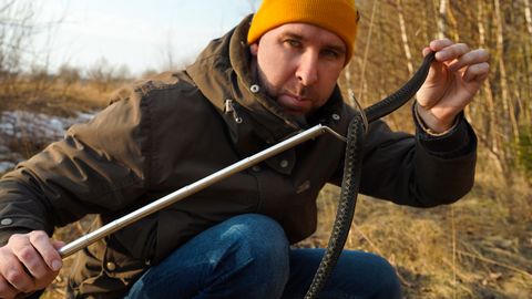 Rästik või nastik? Zooloog selgitab, kuidas mürgist madu ära tunda