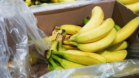 UPS! ⟩ Põhjamere saarestik ujutati kogemata banaanidega üle