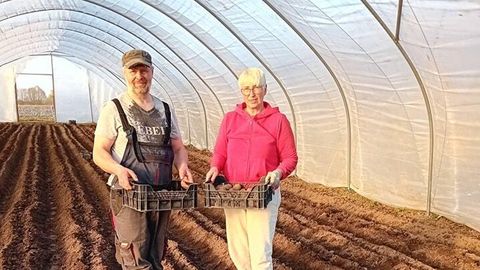 Facebooki hukkamõistu kiuste läks Tartumaal kartul juba mulda