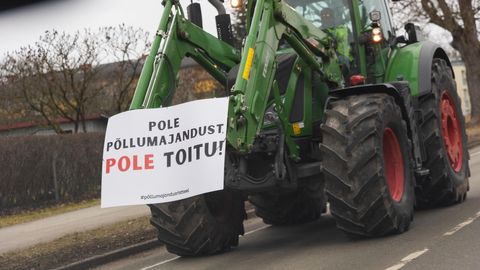 NÄDALA MÕTE ⟩ Valitsuse võimalus muuta suurt pilti