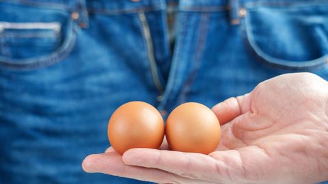 Miks on meeste munanditel «õmblus»? Viraalne säuts paljastas anatoomilise mõistatuse tegeliku põhjuse