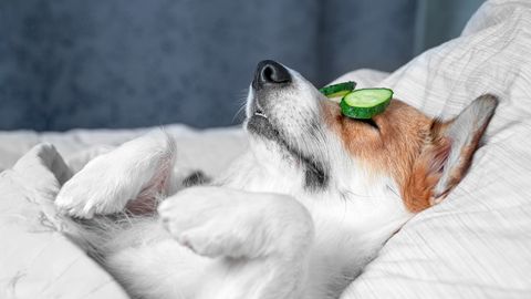 PÄEVAHOROSKOOP ⟩ 10. aprill: Ambur keskendub arukale majandamisele, Veevalaja vajab aega iseendale