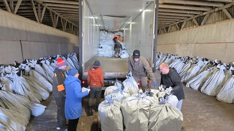 Metsa hakati tänavu istutama erandlikult vara