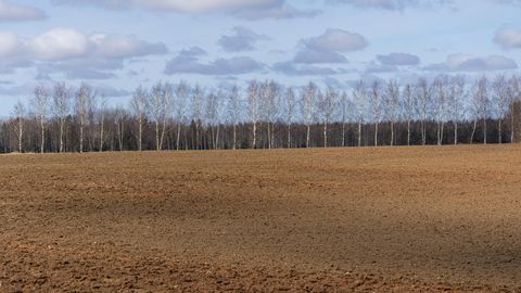 TUJURIKKUJA ⟩ Kas soojad kevadilmad jätkuvad? Sünoptik vastab