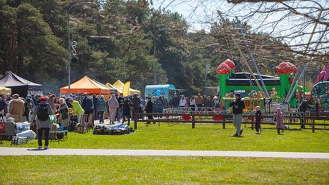 Põhja-Tallinna kevadlaat toob Stroomi parki laadamelu ja elava muusika