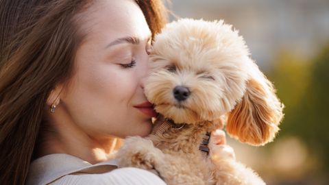 Tähista rahvusvahelist lemmikloomapäeva: nõuanded, kuidas oma neljajalgse sõbra toidulaud erilisemaks teha