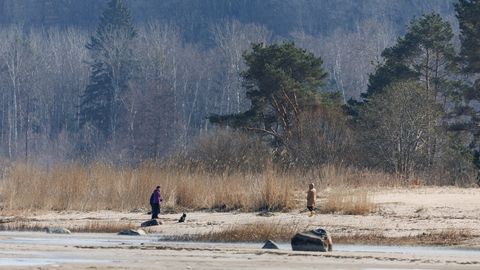 Valla kriisitelefonile droonileiu järel kõnetulva ei olnud