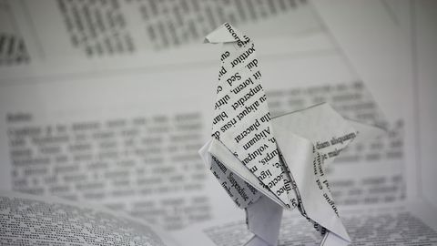 Raamatute edetabeli tippu kihutas üllatav raamat