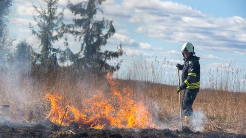 Päästjad said väljakutseid süütamisele, kulupõlengutele ning tulekahjule tööstushoones