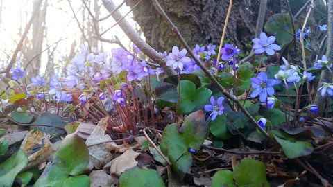 NÄDALAPROGNOOS ⟩ Võimsale uuele algusele järgneb otsustav test: nädal tuleb sündmusterohke
