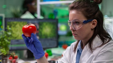 Teadlased avastasid tavalistest köögiviljadest aine, mis võib aeglustada vananemist