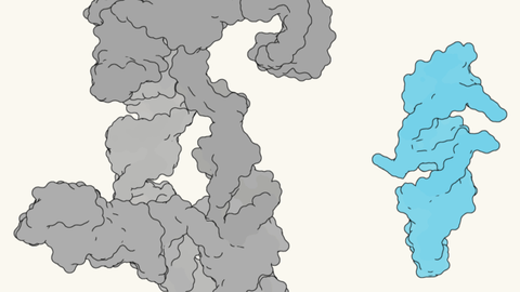Teadlased leidsid elu lätte – see molekul suudab tekitada endasarnaseid