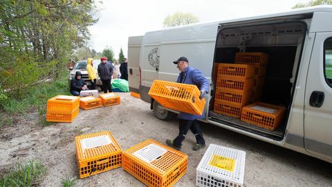 Taudioht ei hirmuta: noorkanu ostetakse kodudesse aina enam