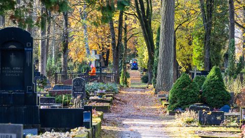 Pauluse kalmistule tulevad valgustid