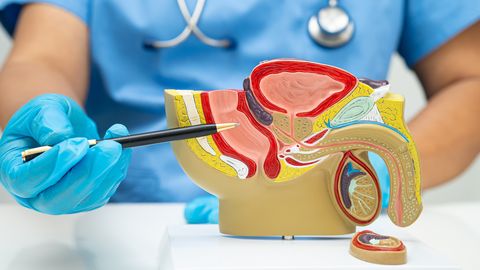 ÄRA JÄÄ OOTAMA ⟩ 5 sümptomit, millega tasub minna uroloogi juurde