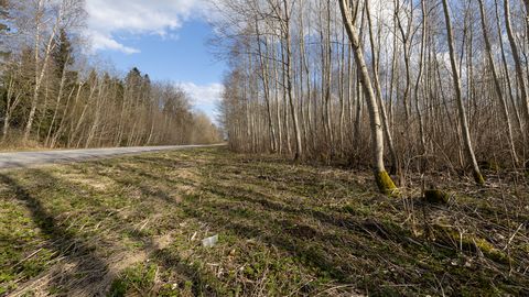 Sündmuspaigas Raidot aidanud perekond oma silmaga karu ei näinud