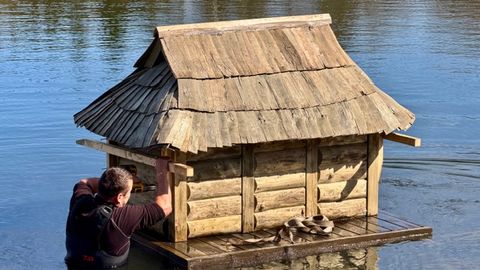 FOTOD ⟩ Õismäe tiigile paigaldati Vabaõhumuuseumi eksponaatidest inspireeritud lindude pesitsusmajad