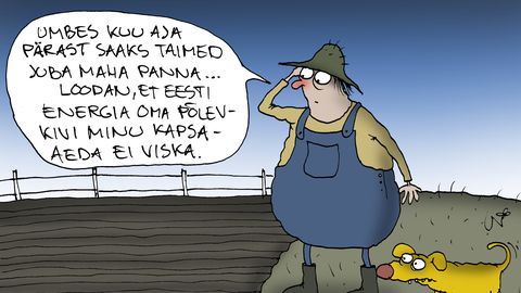 JUHTKIRI ⟩ Salaotsus halvab energeetikat