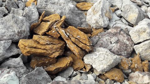 Kõlvart soovib põlevkivitehingule riigikontrolli hinnangut