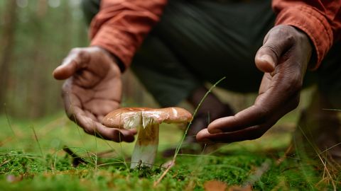 Soome seentes on ikka veel Tšornobõli katastroofi jälgi