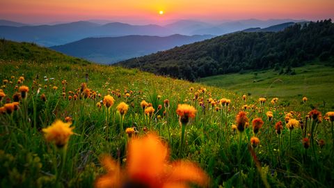 PÄEVAHOROSKOOP ⟩ 18. aprill: Sõnn leiab vastuseid süvenemist vajanud küsimustele, Kaljukitse kodused vestlused on sisukad