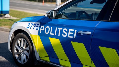 Politsei tabas püstolit paugutanud purjus mehe