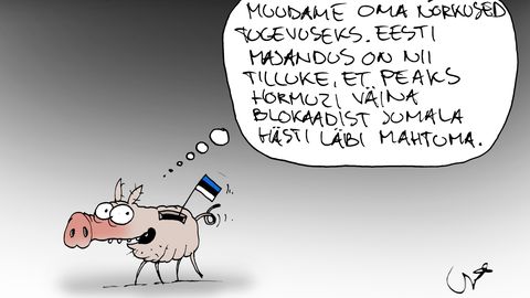 JUHTKIRI ⟩ Eesti vajab kriisiplaani