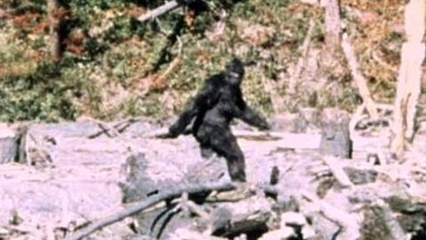 FBI tegi avalikuks lumeinimese salafailid – vaata, mida sealt välja tuleb