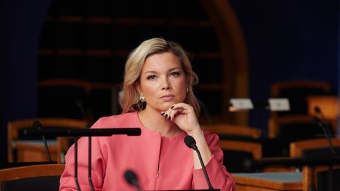 LUISA VÄRK ⟩ Lapsed mängivad arvutimänge nagunii. Miks mitte panna see tööle meie julgeoleku kasuks?